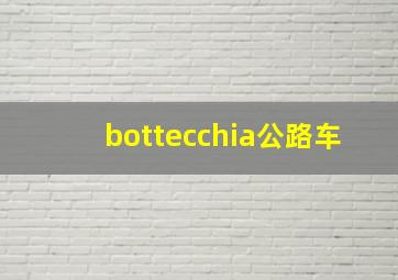 bottecchia公路车