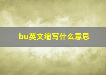 bu英文缩写什么意思