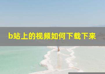 b站上的视频如何下载下来