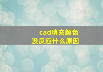 cad填充颜色没反应什么原因