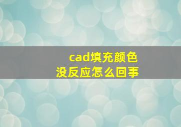 cad填充颜色没反应怎么回事