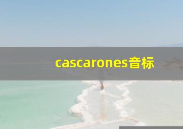 cascarones音标