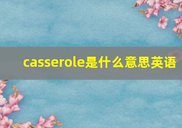 casserole是什么意思英语