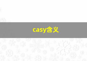 casy含义