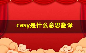 casy是什么意思翻译