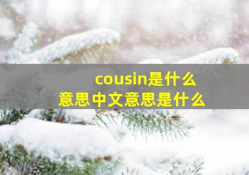 cousin是什么意思中文意思是什么