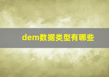 dem数据类型有哪些