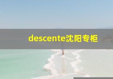 descente沈阳专柜