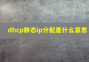 dhcp静态ip分配是什么意思