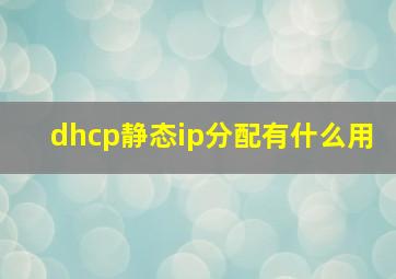 dhcp静态ip分配有什么用