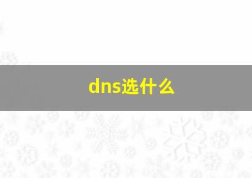 dns选什么