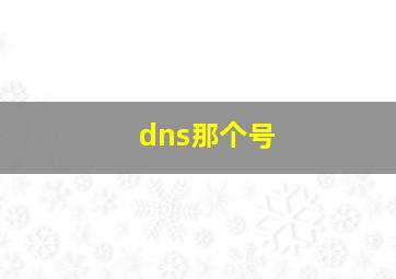 dns那个号