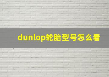 dunlop轮胎型号怎么看