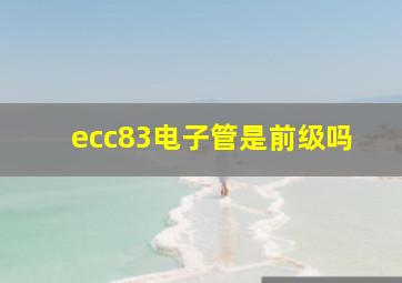 ecc83电子管是前级吗