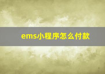 ems小程序怎么付款