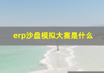 erp沙盘模拟大赛是什么