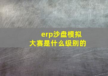 erp沙盘模拟大赛是什么级别的