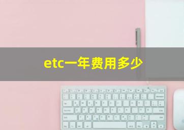 etc一年费用多少