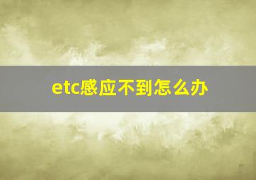 etc感应不到怎么办