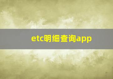 etc明细查询app