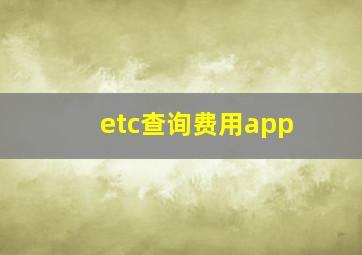 etc查询费用app