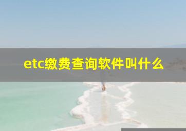 etc缴费查询软件叫什么