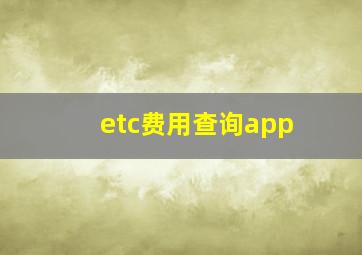 etc费用查询app