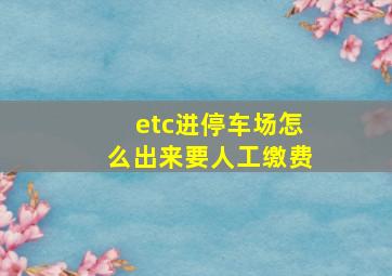 etc进停车场怎么出来要人工缴费