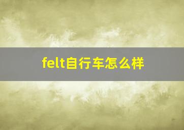 felt自行车怎么样