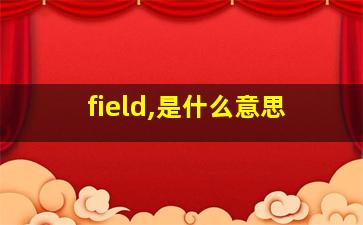 field,是什么意思