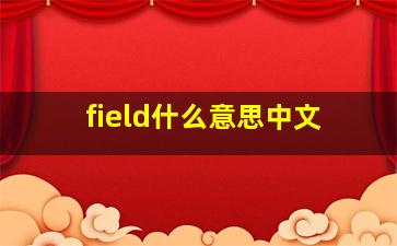 field什么意思中文