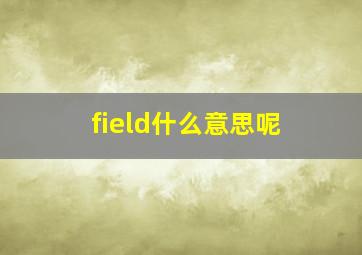 field什么意思呢