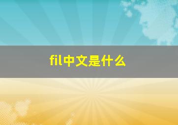 fil中文是什么