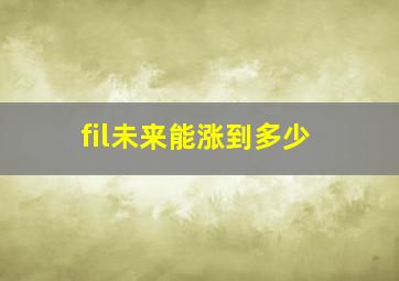 fil未来能涨到多少