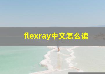 flexray中文怎么读