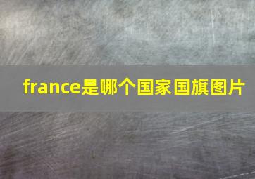 france是哪个国家国旗图片