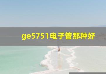 ge5751电子管那种好