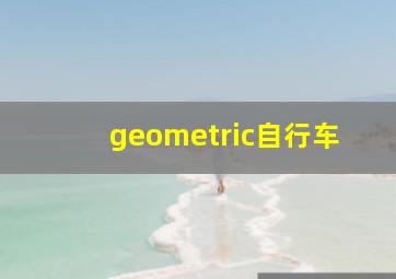 geometric自行车