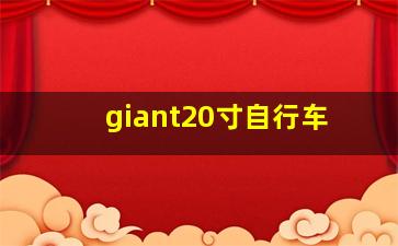 giant20寸自行车