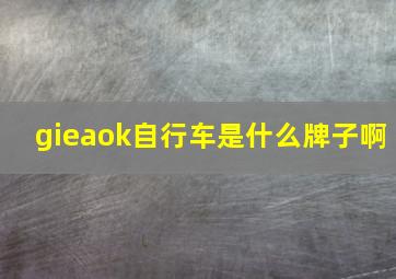 gieaok自行车是什么牌子啊