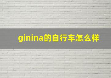 ginina的自行车怎么样