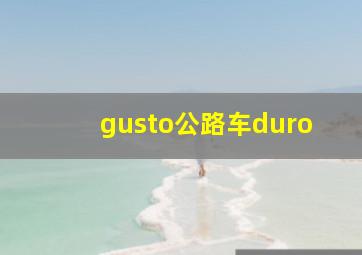 gusto公路车duro