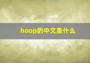 hoop的中文是什么