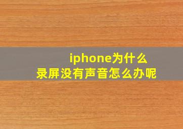 iphone为什么录屏没有声音怎么办呢