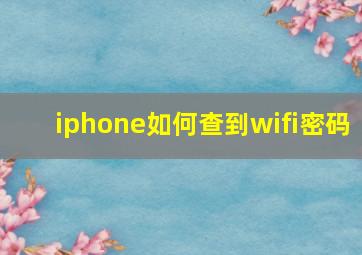 iphone如何查到wifi密码