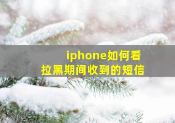 iphone如何看拉黑期间收到的短信