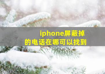 iphone屏蔽掉的电话在哪可以找到