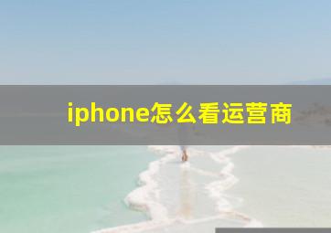 iphone怎么看运营商