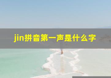 jin拼音第一声是什么字