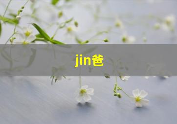 jin爸